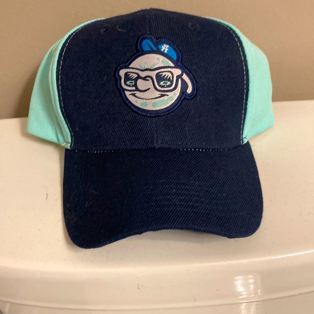 NWOT Asheville Tourists Trucker Hat
